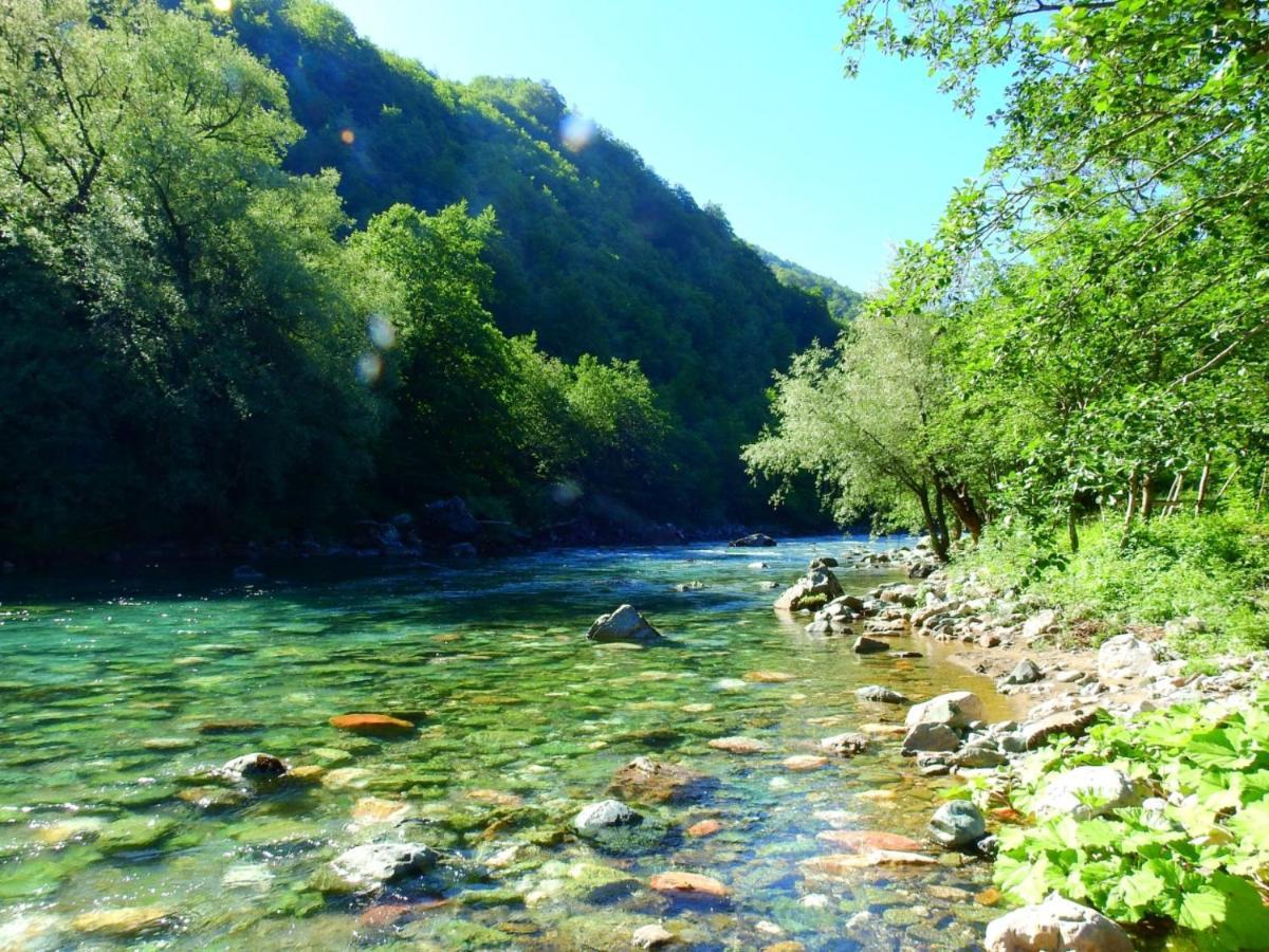 Private Accommodation Kalezic Mojkovac Exterior photo