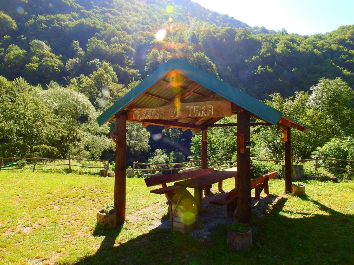 Private Accommodation Kalezic Mojkovac Exterior photo